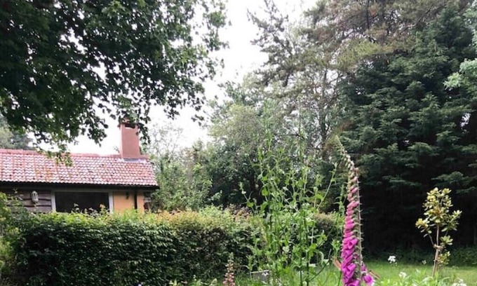Worlington Cottage | Seclusion by a Riverside Garden on Two Moors Way