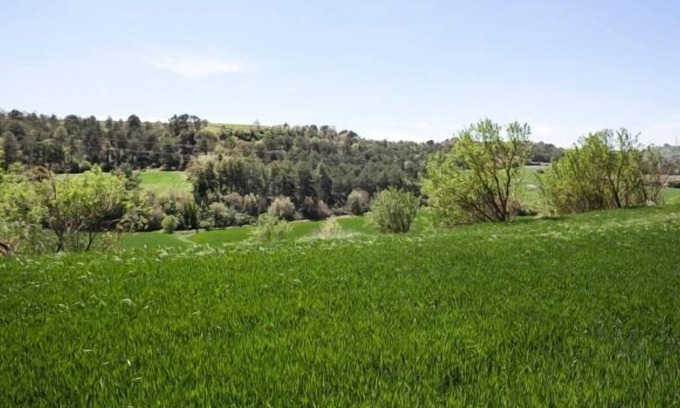 La Cirera Cottage | Self catering Can Pinyol for 2 people