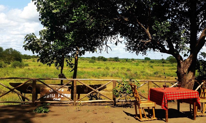 Mloka Bed & Breakfast | Selous Adili Forest Camp