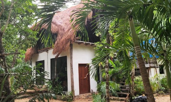 Macario Gomez House | SELVA ROCA