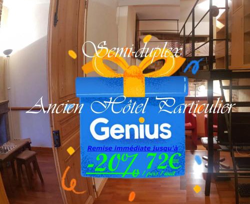 Prefecture Apartment | Semi-duplex Ancien Hôtel Particulier