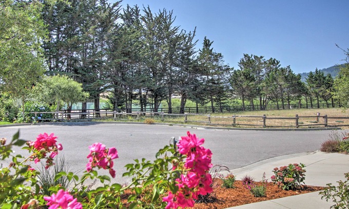 Point Reyes Station Cottage | Serene Bungalow-style Home in Point Reyes Station!