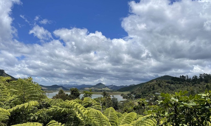 Opoutere House | Serene Opoutere Bush Haven (family and pet-friendly)