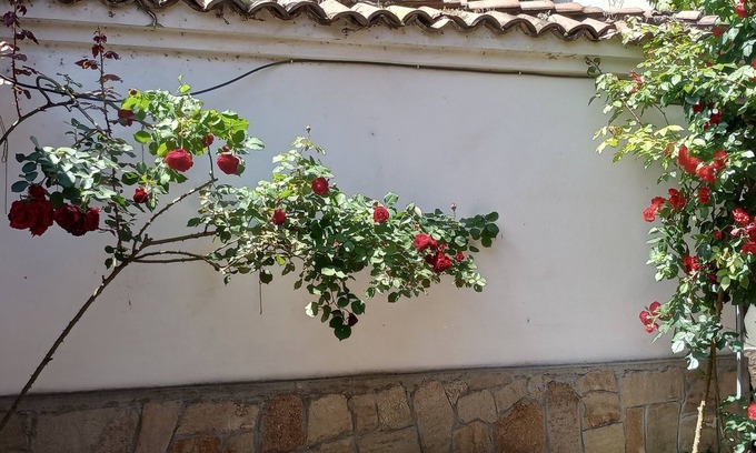 Plovdiv Center House | Serenity and cozines in the heart of the Old Town of Plovdiv historical reserve