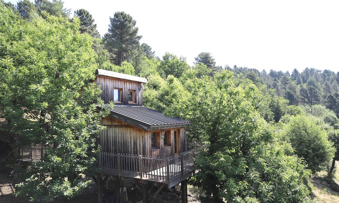 Saint-Hilaire-de-Lavit Ski Chalet | SHACK ON PILOTIS IN CEVENNES