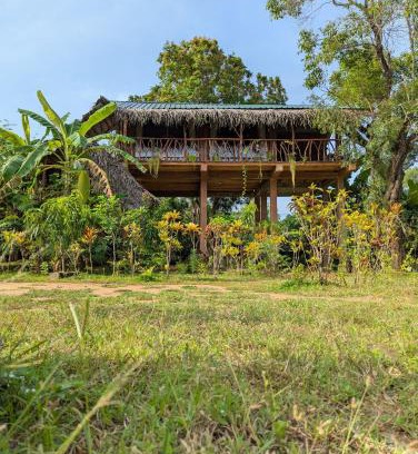 Sigiriya Cabin | Sigiriya Rock View Tree house