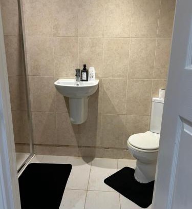 Thamesmead House | Silver birch close