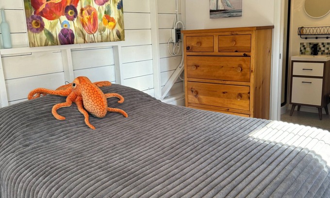 Anacortes Apartment | Similk Beach View Studio for two! nCentral HUB to San Juans and Skagit Valley!