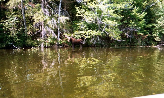 Oxford Cabin | 'Simple Abundance' - Timeless Maine Lakefront Cabin, Deck And Canoe