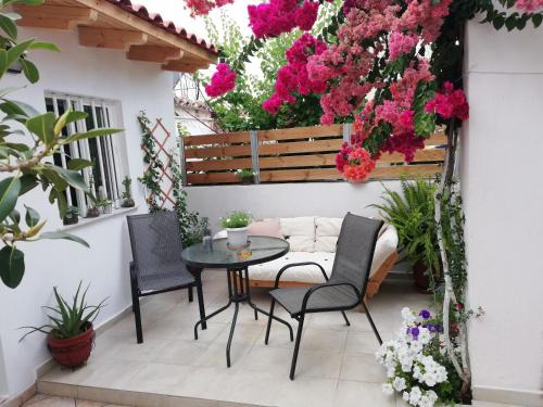 Halepa Apartment | Small Studio with Yard