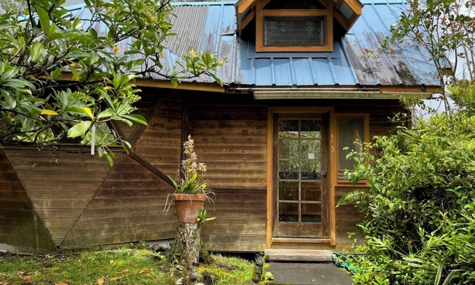 Orchidlands Estates Cottage | Solar powered bohemian loft cottage with birds, lizards, and frogs