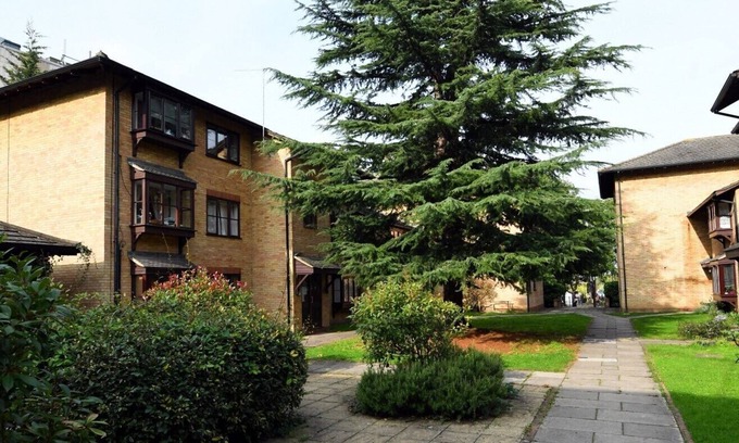 Walthamstow Apartment | Spacious Flat in Hip Walthamstow! Free, Secure Parking! Close to Transport.