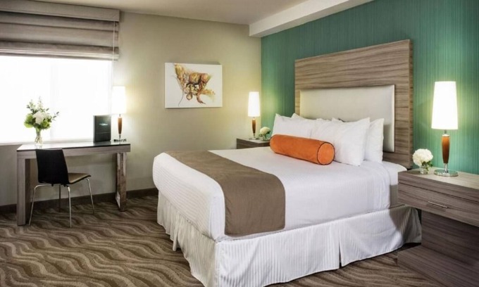 Little Italy Hotel | Spacious Studio Suite in Little Italy Near Harbor, Dining, Zoo and Attractions