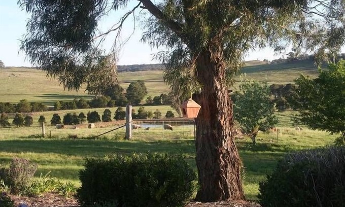 Big Hill Other | SPECIAL $240/n first 3 persons at ROLLING HILLS FARMSTAY at Big Hill, sleeps 16