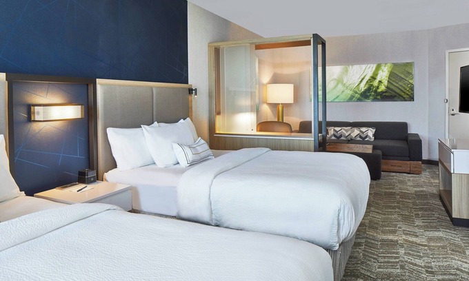 Paw Creek Hotel | SpringHill Suites by Marriott Charlotte at Carowinds