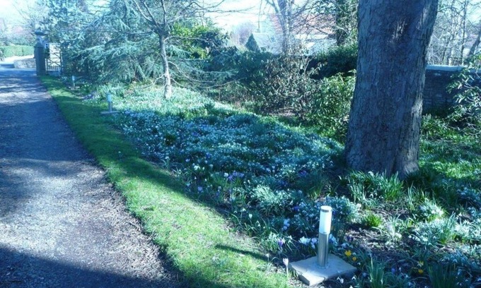 Colinton Bed & Breakfast | Spylaw Bank House