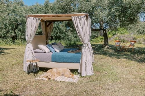 Kaloniktis Other | Star Sleep Kaloniktis Rethymno Olive Farm Escape