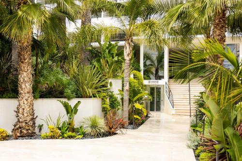 Cannes City Centre Hotel | Staybridge Suites - Cannes Centre by IHG