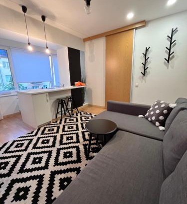 Druskininkai Apartment | Stilingi šaulio skulptūros apartamentai