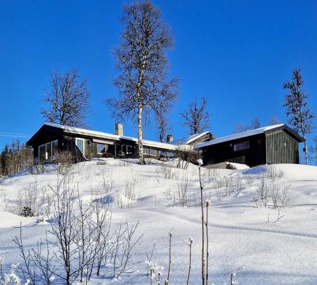 Steinsetbygdi House | Stor Usjenert Hytte Med Spa Og Utsikt I Valdres