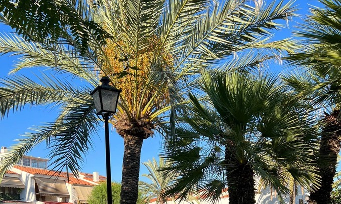 Santa Pola Apartment | Studio Apartment 'Bungalow En Santa Pola Del Este' with a view of the mountains