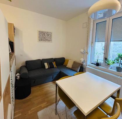 Donji Grad Apartment | Studio Apartment Ivy