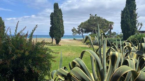 Moriani-Plage Apartment | Studio Cabine à quelques pas de la plage - VUE MER