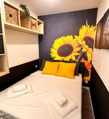 Carabacel Apartment | Studio Coeur Delille FSHH