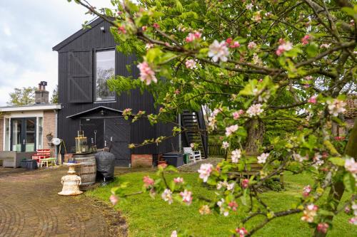 Alkmaar Bed & Breakfast | Studio Hooischuur Alkmaar/Bergen