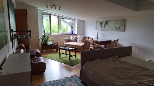 Parsch Apartment | Studio in Villa Rosa