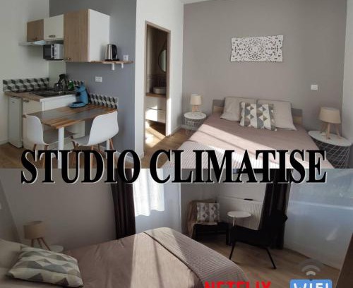 Soultz-Haut-Rhin Apartment | Studio L'epicea Climatisation Sejour Parfait