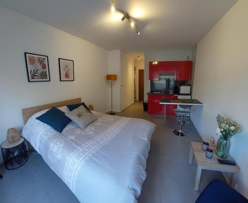 Saint Nicolas - Charles III - Ville vieille - Trois Maisons - Leopold Apartment | studio vieille ville