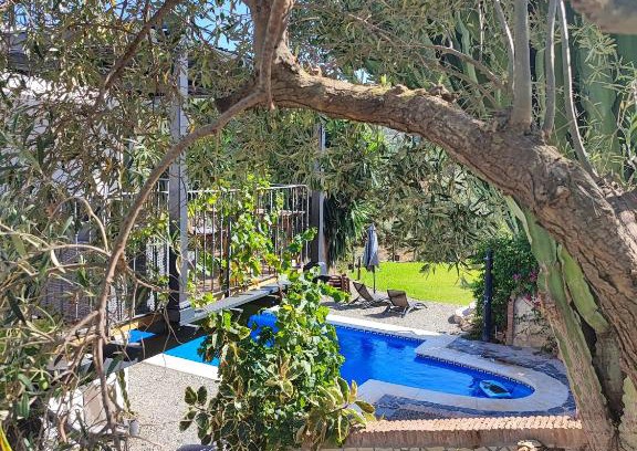 Coin Apartment | Studio Views Apartment, Cortijo Fruitful Hills