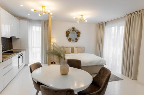Baia Mare Apartment | Studio Vivo Residence