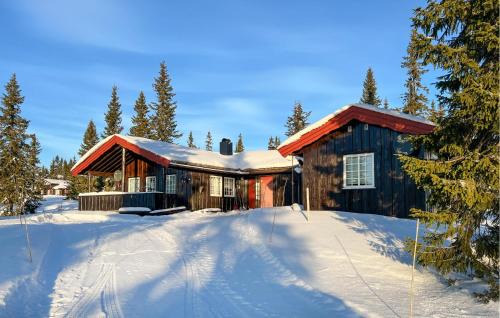 Sjusjoen House | Stunning Home In Sjusjøen With Sauna