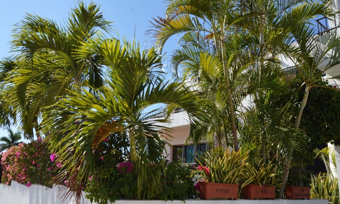 Cabo Bello House | STUNNING VILLA IN EXCLUSIVE CABO NEIGHBORHOOD!