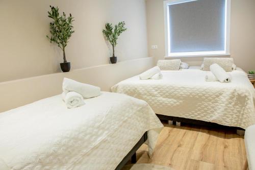 Oude Pijp Apartment | Stylish 1-Bedroom near the Canal & Albert Cuyp Market