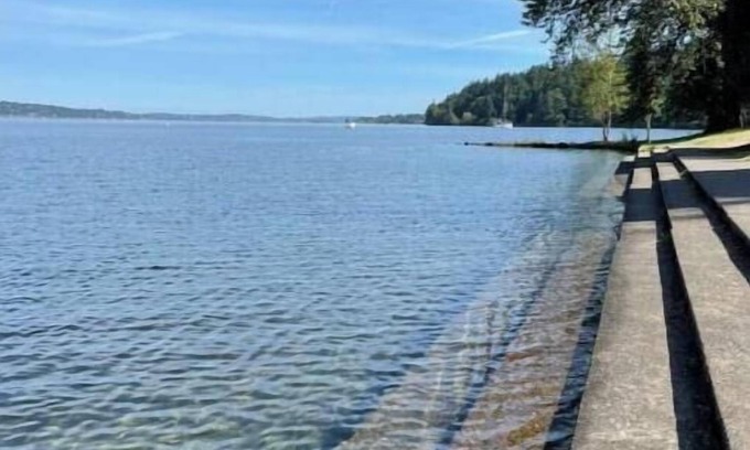 Seattle Metro Area Apartment | Suite Sandía: Private studio near lake & city life