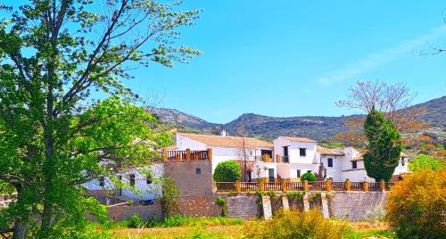 Algarinejo House | Suitur Cortijo de Don Lolo