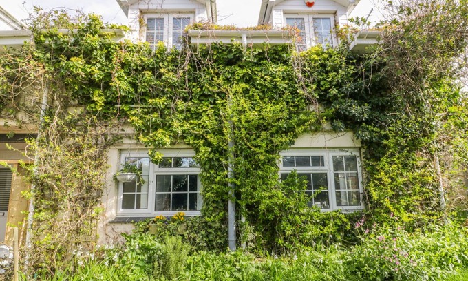 Newquay Cottage | Summer Breezes