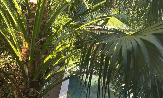 Saint-Paul House | SUMPTUOUS BUNGALOW