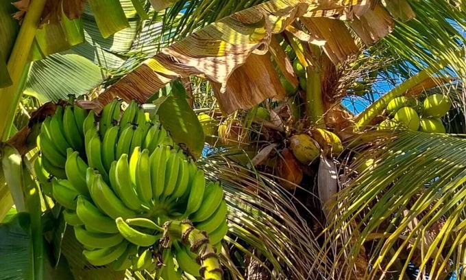 Bosque de Geriba Hotel | Super Flats Geribá