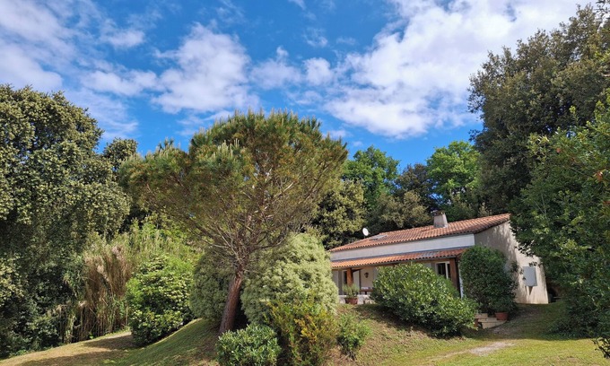Meschers-sur-Gironde Villa | Superb villa for 12/14 persons - swimming pool - Beach nearby