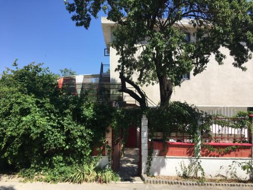 Primorski House | SURF House Villa Rose I Po3a l
