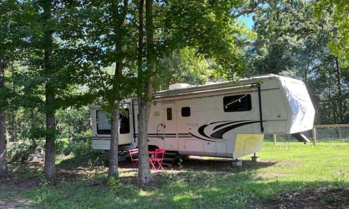 Landrum House | Sweet Gum Camper at Cluckin Lucky Farm