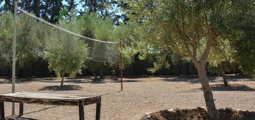 Oulad Hassoune Bed & Breakfast | Sweethome