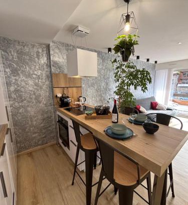 Briancon Apartment | T2 lumineux l' Edelweiss pied du Prorel avec garage privé