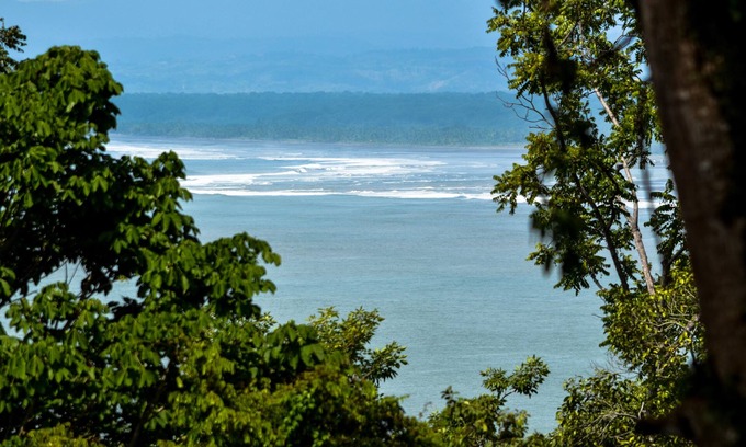 Manuel Antonio Resort | Tabulia Tree Hotel and Villas