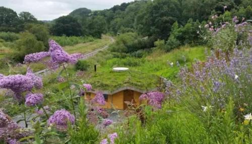 Bronwydd House | Tara vegetarian retreat guesthouse