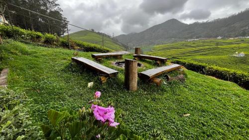 Wellington Bed & Breakfast | Tea Leaf Stays by Brown Tree Resorts